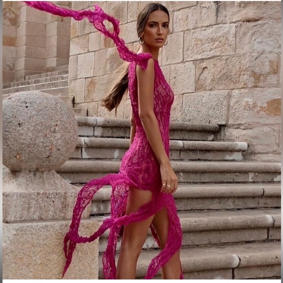 Zara fuchsia textured lace dress - Picture 9 of 13